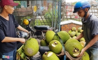 phat hien giong mit nghe co mui sieu khung