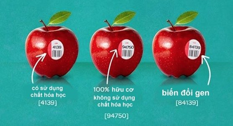 dung bao gio mua trai cay co ma code bat dau bang so 8