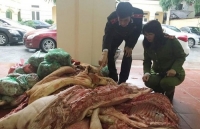 da nang phat hien hon 65 tan thit dong vat khong ro nguon goc