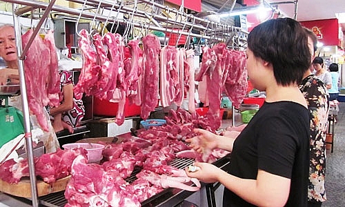 bo cong thuong chenh lech gia heo hoi va gia heo thit ban le la do quy luat cung cau quyet dinh