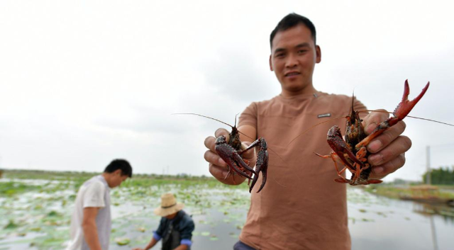 nga nhap 10 van con tom tu trung quoc dai dan nhau mua world cup