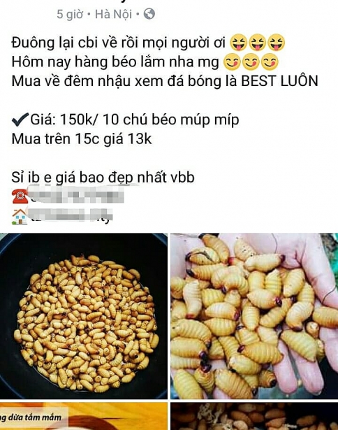 dac san khong danh cho nguoi yeu tim canh dan ong dua nhau thu