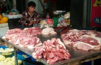 thit heo viet nam cuoi cung cung duoc xuat khau chinh ngach