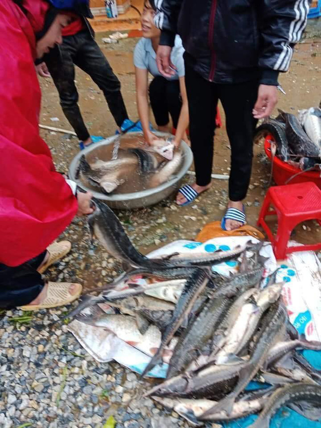 xot long dac san ca tam ban re nhu cho tren via he o lai chau sau lu