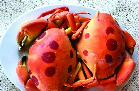 cua mat trang dat khach o sai gon