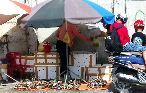 cua bien gan mac ca mau ban do dong via he sai gon