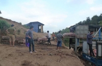 luong thit nhap khau tang gap ruoi trong thang 5