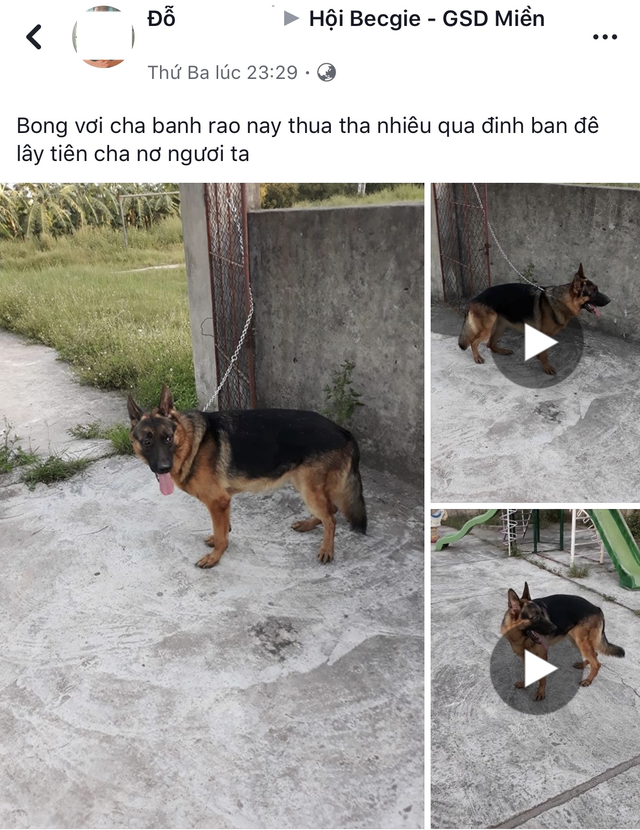 lao hac mua world cup het tien den cho cung ban