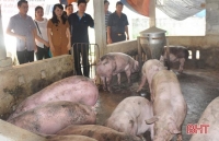 chien tranh thuong mai bung no thit heo my chay sang vn