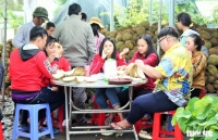 lam dong sot hat sau rieng