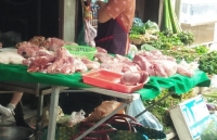 gia heo hoi hom nay 187 ba mien cung tang gia co noi dat 55000 dong