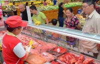 gia lon hoi tang giam bat thuong lam gi de nguoi chan nuoi duoc vui