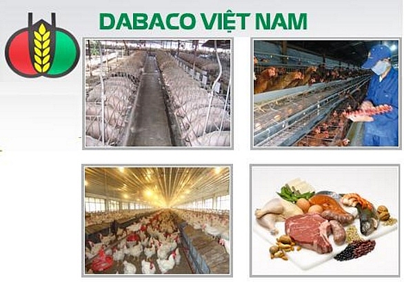 gia heo phuc hoi doanh thu thuan cua dabaco tang 52 trong quy ii nam 2018
