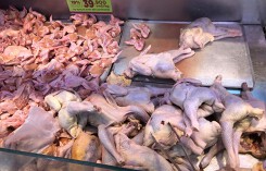 Nên cấm nhập sản phẩm chăn nuôi thải loại