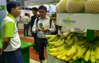 man ngoai co gia gan nua trieu van hut khach