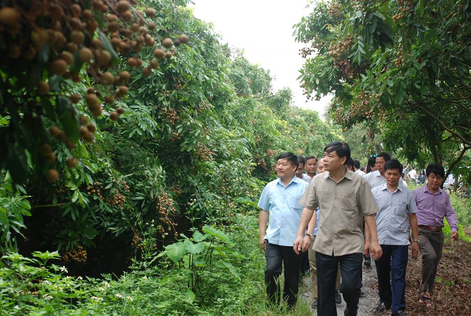 chu tich huyen moi ngay danh hai tieng dong ho di ban nhan