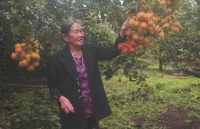 con cua 60 trieu hang hiem toan cau hap kieu viet nam thom lung