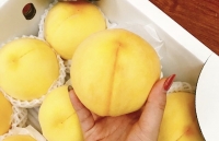 mua vu lan bao hieu thue nguoi cham soc cha me khi om dau co coi la bat hieu