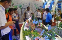 ngu dan quang binh bat duoc ca la nghi ca su vang tien ty