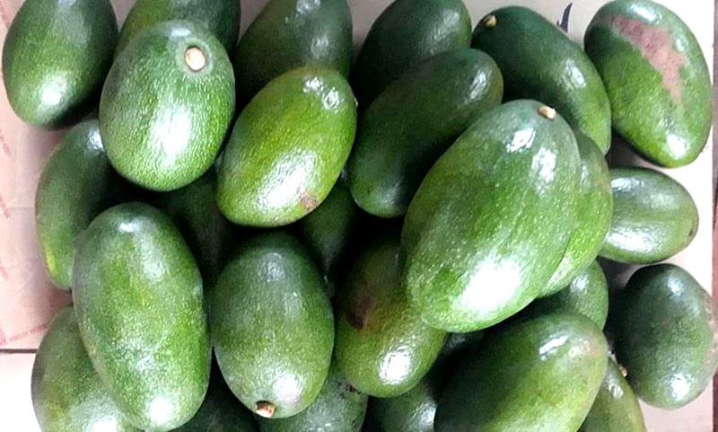 qua bo khong lo ca nha nhin com chia nhau an khong het
