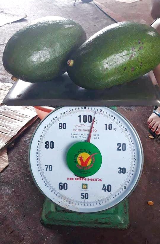 qua bo khong lo ca nha nhin com chia nhau an khong het