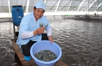 nhung manh loi ban hang sale cua cac shop thoi trang