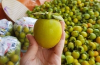 dan ha noi sot hong say deo hang tau tran ve lai an them 1 cu lua