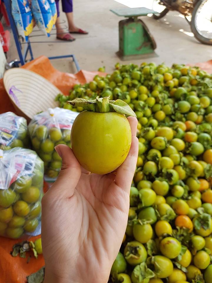 suc hut ky la cua dac san hong gion da lat gia chi 30 nghinkg