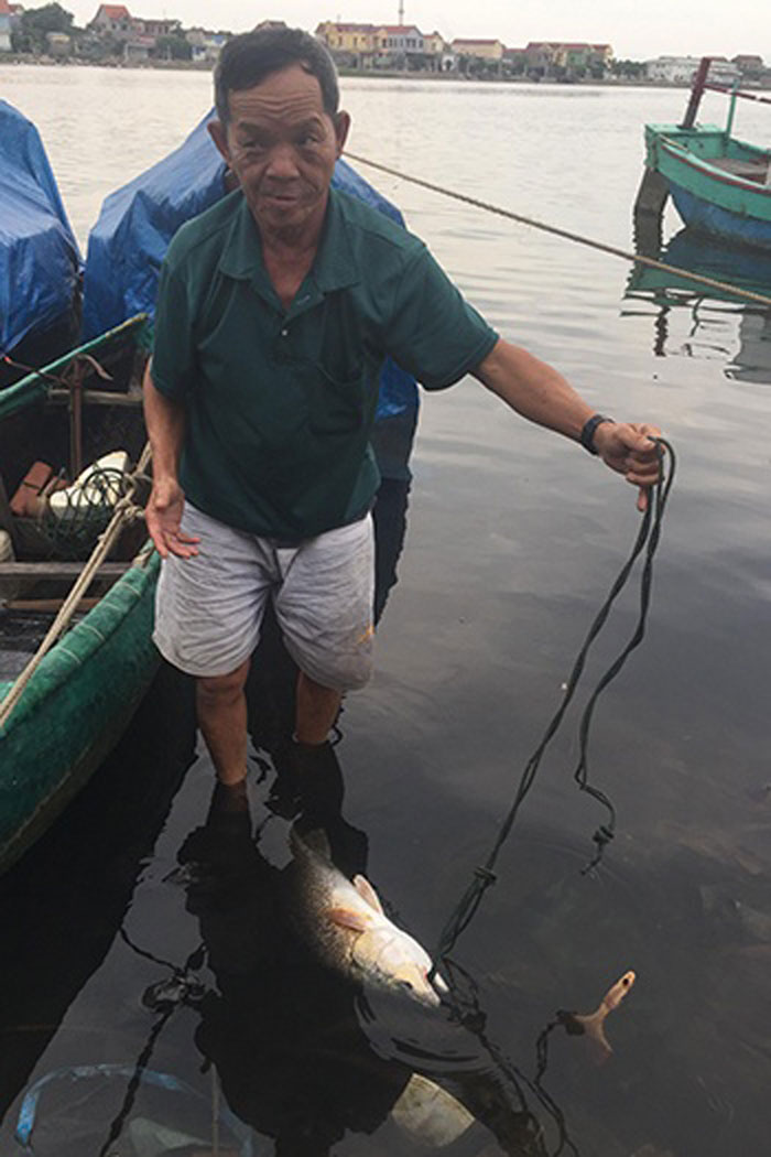 ngu dan quang binh bat duoc ca la nghi ca su vang tien ty