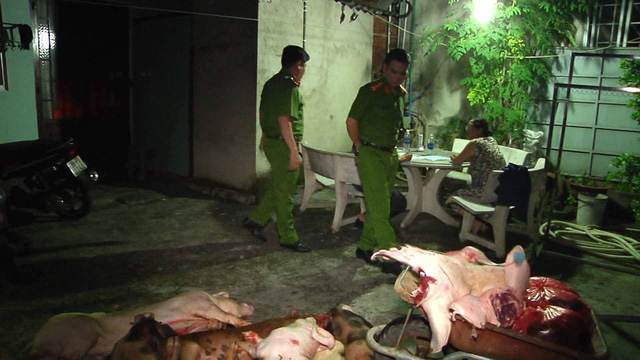 kinh hoang hai co so giet mo mua ban lon chet benh
