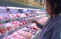 gia heo lon hoi hom nay 110 gia heo mien nam tang