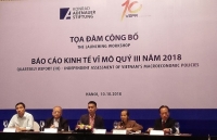 quy mo chan nuoi tai cac ho gia dinh giam manh nen gia mat hang thit lon tang cao hon nam truoc