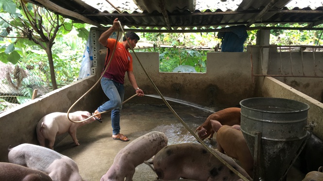 dich ta lon chau phi da den ngay sat nach viet nam