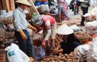 trung quoc giam nhap buoi va sau rieng viet