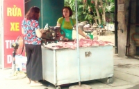 gia heo lon hoi hom nay 2911 tiep tuc giam o mien trung