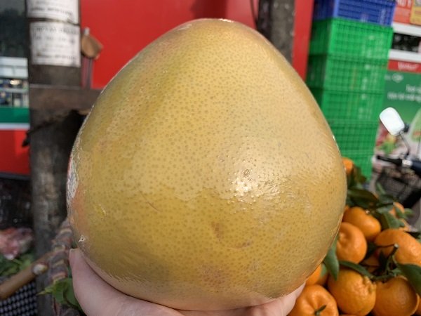 buoi tau khong lo vo vang bong tran ve cho viet 161055