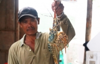cam ranh thien duong moi cua du lich nghi duong