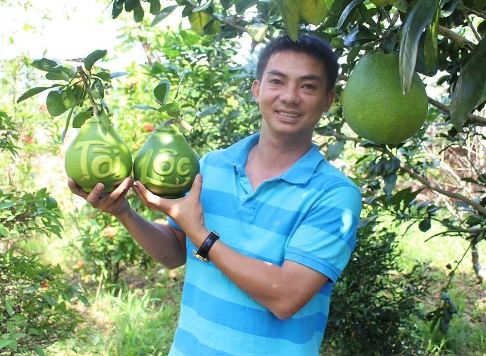 qua buoi vuong ki la lan dau tien xuat hien o viet nam