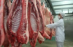 Vượt Trung Quốc, Thái Lan: Chuyện chưa từng có, Việt Nam chiếm đỉnh cao thế giới