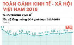 Bức tranh kinh tế Việt Nam năm 2018 qua các con số