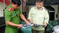 ngan chan hang lau van chuyen tren cac tuyen quoc lo o tay nguyen