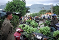 cong ty cho hon 10000 cong nhan thoi viec ngay giap tet