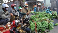 giap tet goi taxi va xe om vo cung kho