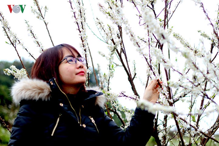 la lung vuon hoa dao khong phai cu thich mua la ban
