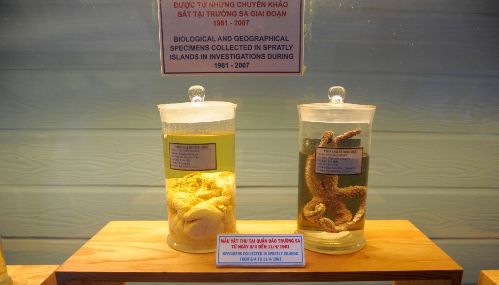 ngam tom hum truong sa trong cac ran san ho