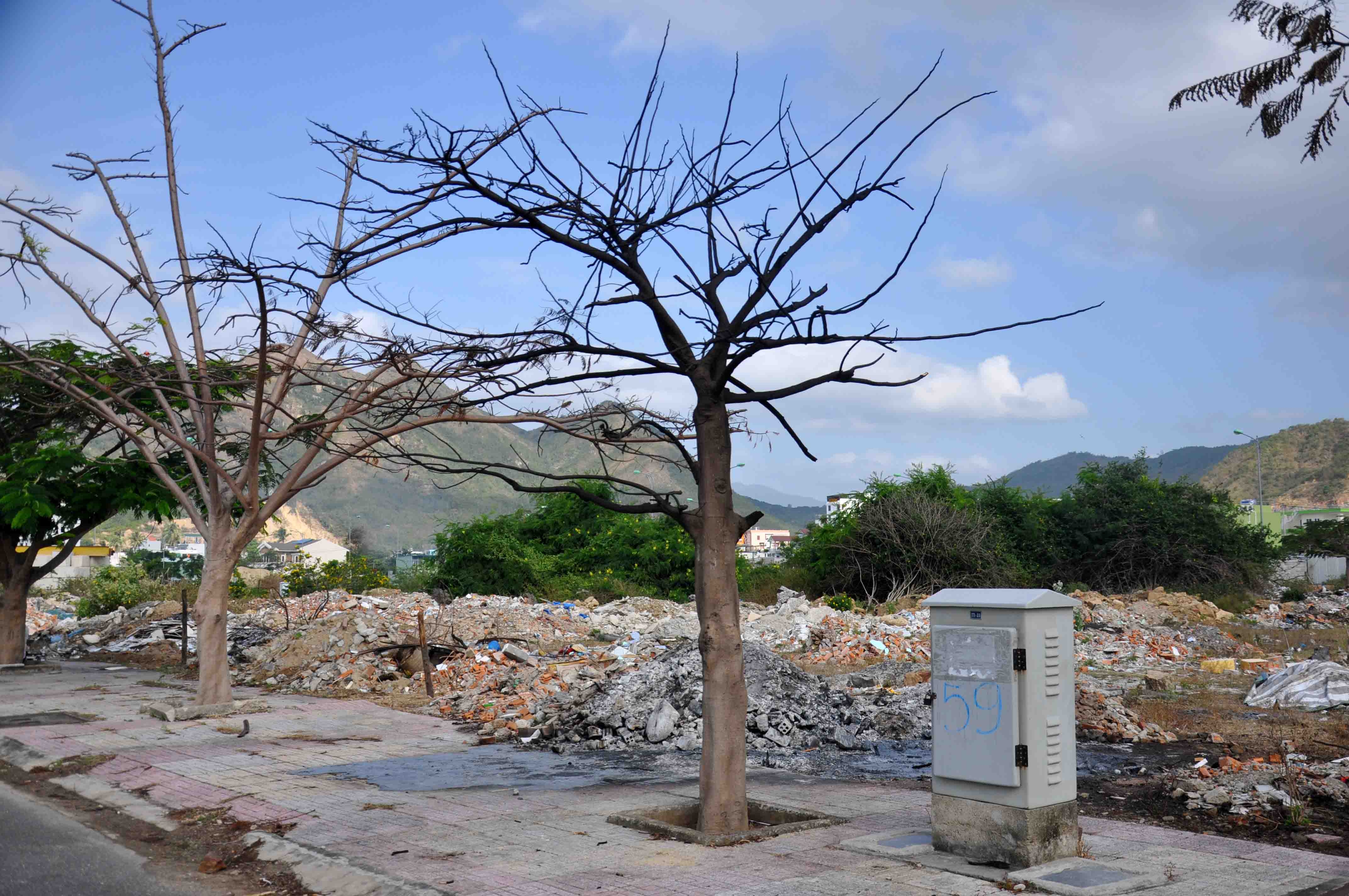 khu do thi vinh hoa nha trang ngap ngua rac thai xa ban