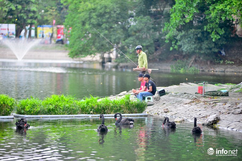can thu tiep tuc bua vay ho thien nga duy nhat cua ha noi