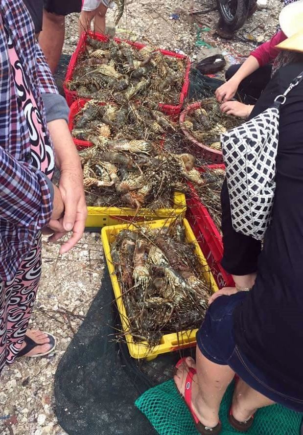 lanh dao phu yen lo nguoi dan roi vao ngheo doi do tom hum chet hang loat