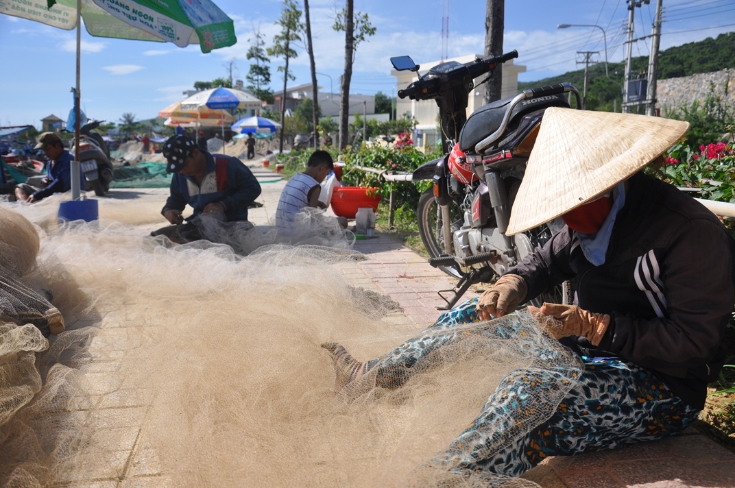 Một đêm lưới cá cơm, ngư dân Nha Trang thu chục triệu đồng mot dem luoi ca com ngu dan nha trang thu chuc trieu dong