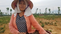 bien rac bua vay nguoi dan vung lu ha noi